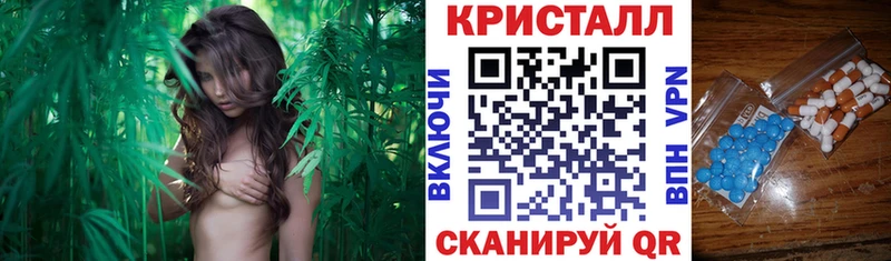 АМФ Premium цена Светлоград