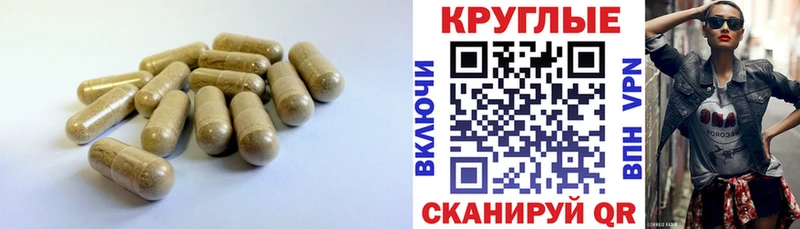как найти закладки Светлоград ЭКСТАЗИ таблы