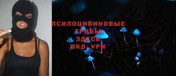твердый Алексин