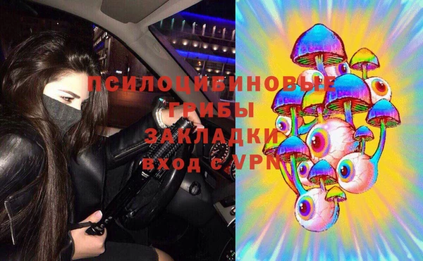 крисы Балахна