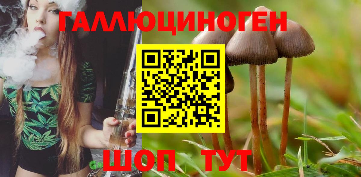 Галлюциногенные грибы GOLDEN TEACHER  Галлюциногенные грибы мицелий  Светлоград  Вход с VPN 