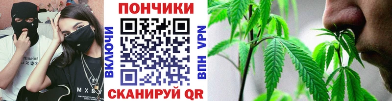 Бошки марихуана VHQ Светлоград