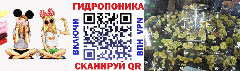 Бошки марихуана ГИДРОПОН  Светлоград 